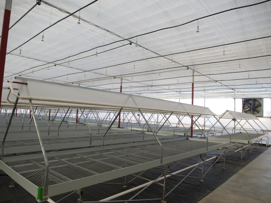 ULMA Agrícola and UNIDO install high-tech greenhouses in Mexico