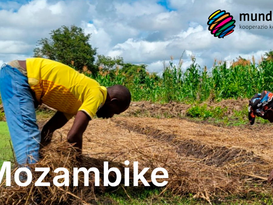 ¿Te gustaría formar parte del programa de Mundukide en Mozambique?