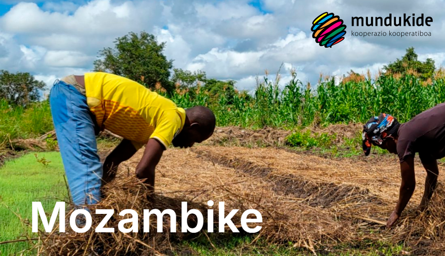 ¿Te gustaría formar parte del programa de Mundukide en Mozambique?
