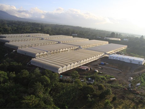 ULMA Agrícola realiza la planta más grande de Latinoamérica  dedicada a la producción de pimentones bajo invernadero.