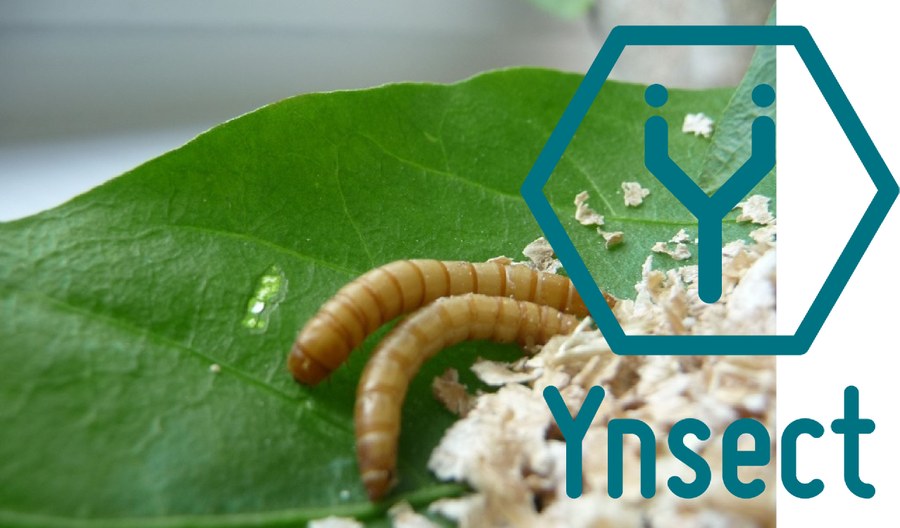 ULMA Handling Systems desarrolla la primera instalación automatizada de producción de proteína de insectos