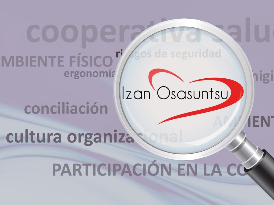 Izan Osasuntsu, Programa de Promoción de la Salud entorno ULMA